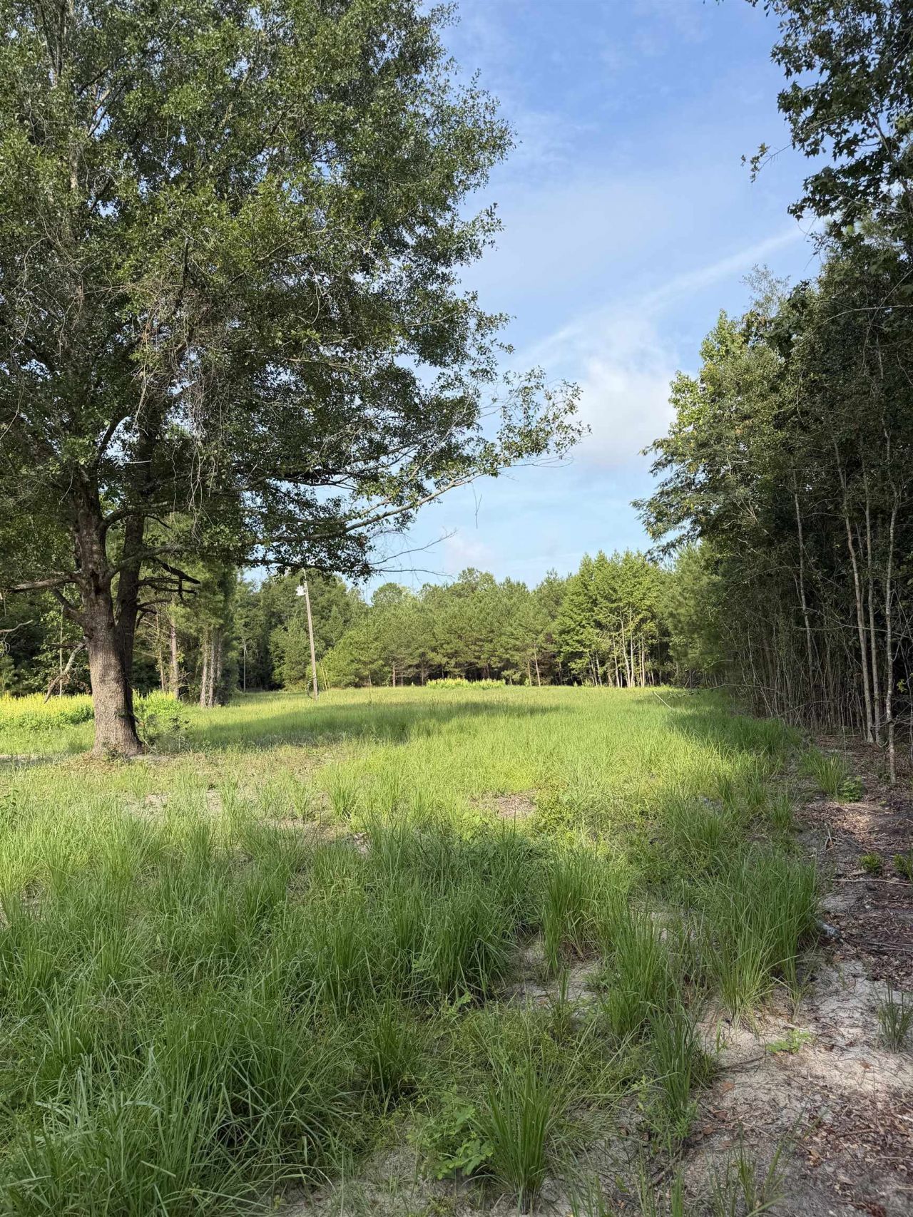 Tbd Hayfield Rd.  Photo 8