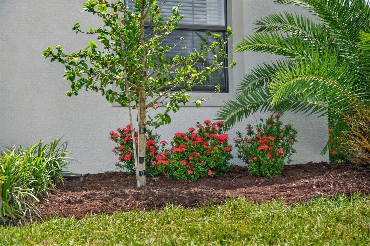 15126 Misty Water Crossing, Bradenton, FL 34211 Photo