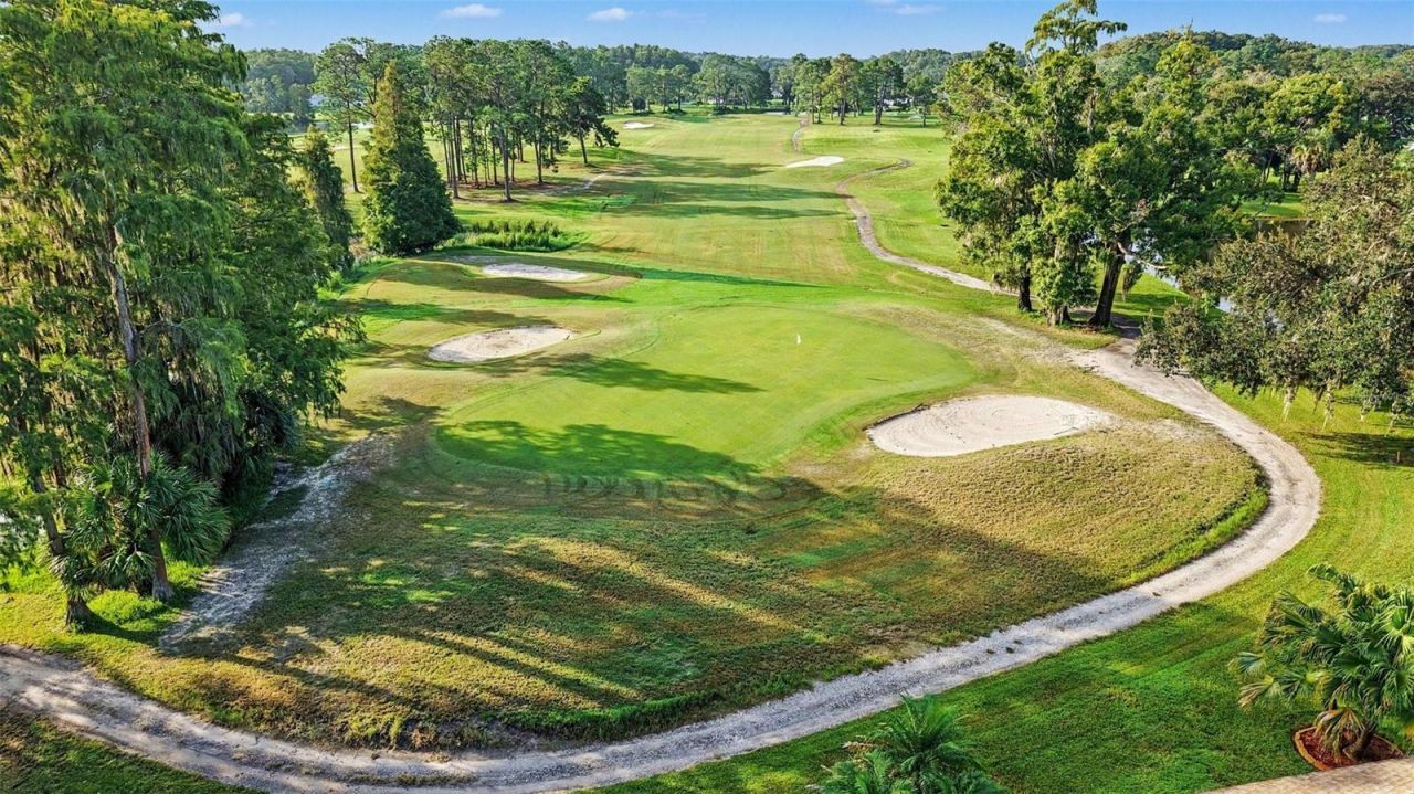 12126 Tournament View Ave, New Port Richey, FL 34654 Photo
