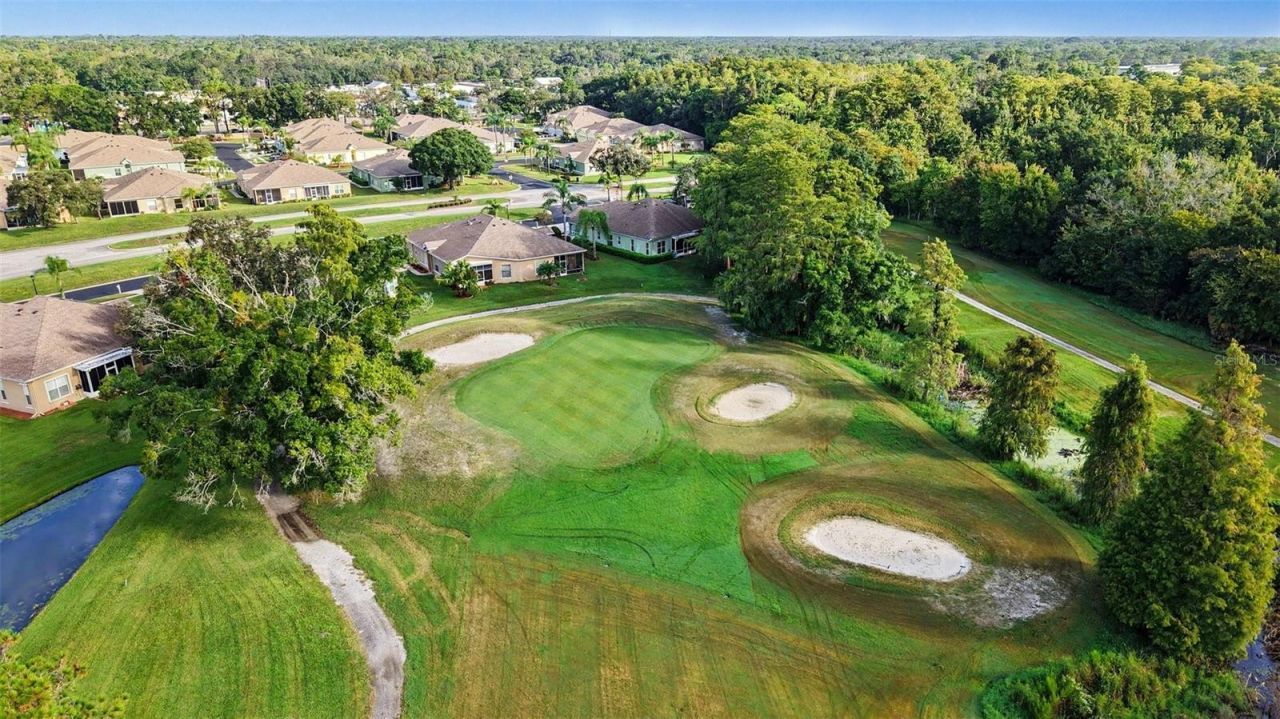 12126 Tournament View Ave, New Port Richey, FL 34654 Photo