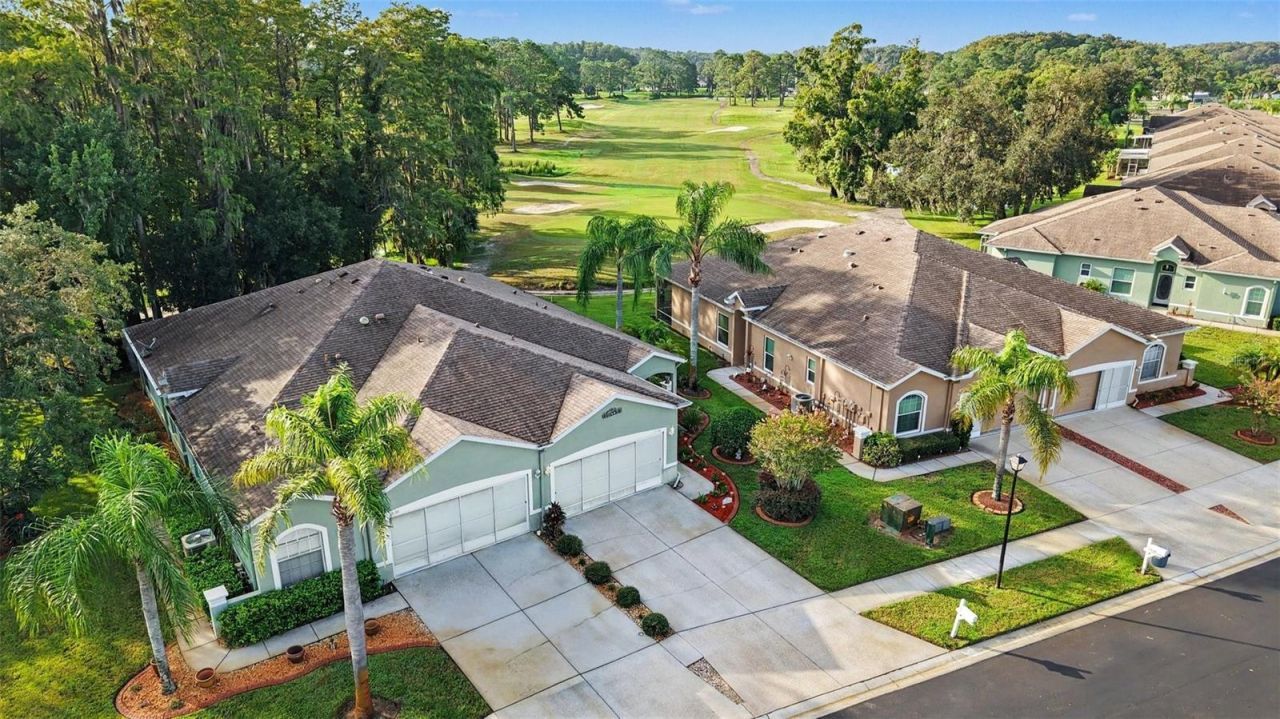 12126 Tournament View Ave, New Port Richey, FL 34654 Photo