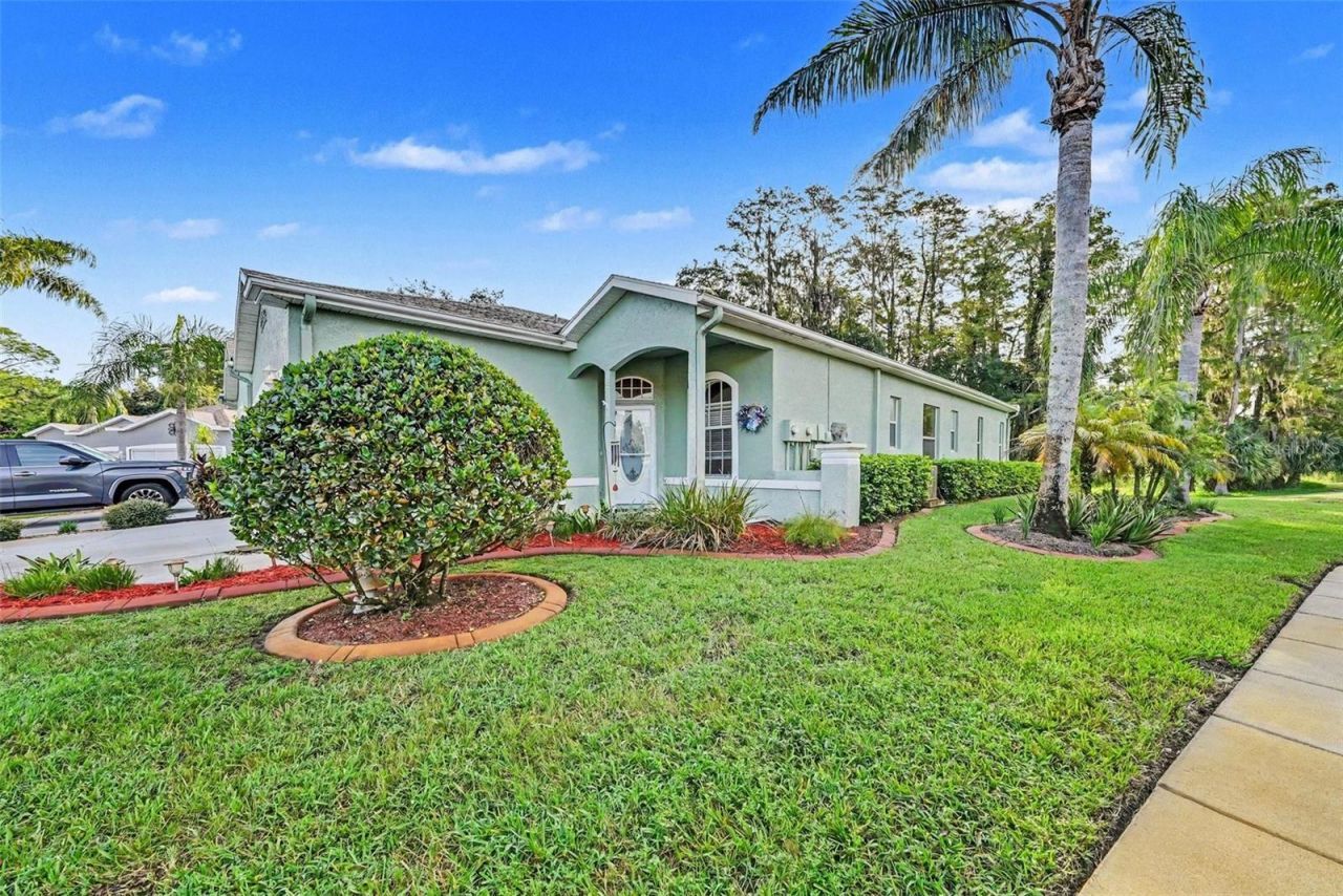 12126 Tournament View Ave, New Port Richey, FL 34654 Photo
