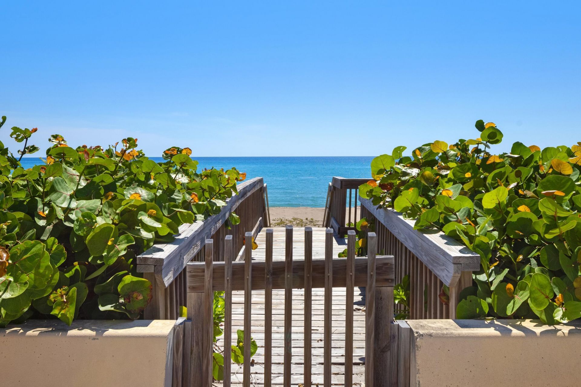 1616 S Ocean Boulevard, Palm Beach, FL 33480 Photo