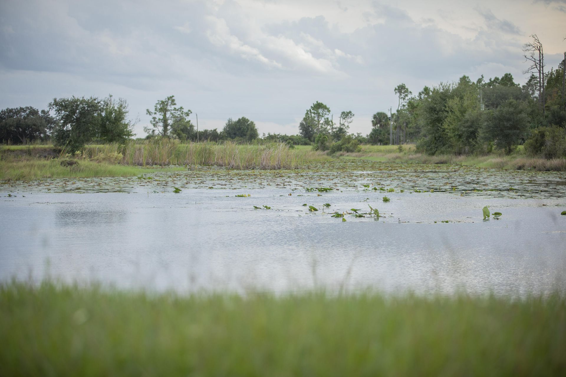 32801 Us Highway 441 N, Unit 246, Okeechobee, FL 34972 Photo
