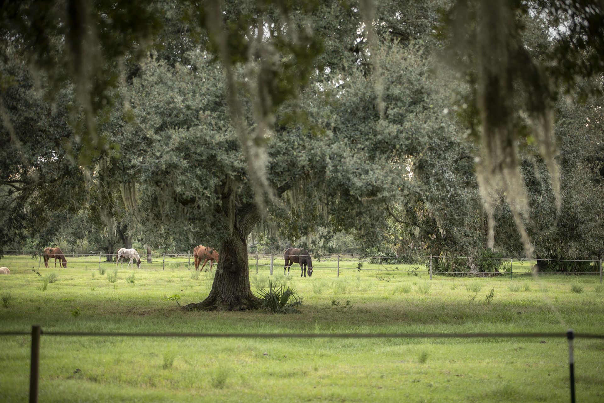 32801 Us Highway 441 N, Unit 246, Okeechobee, FL 34972 Photo