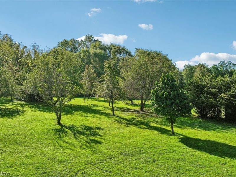 4311 Wadsworth Road, Norton, OH 44203 Photo 44