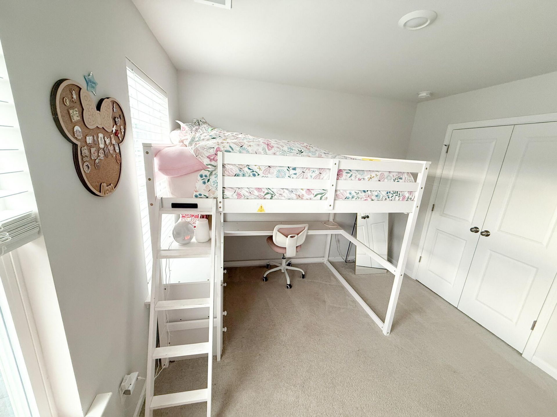 6976 Pumpkinseed Drive Photo 32
