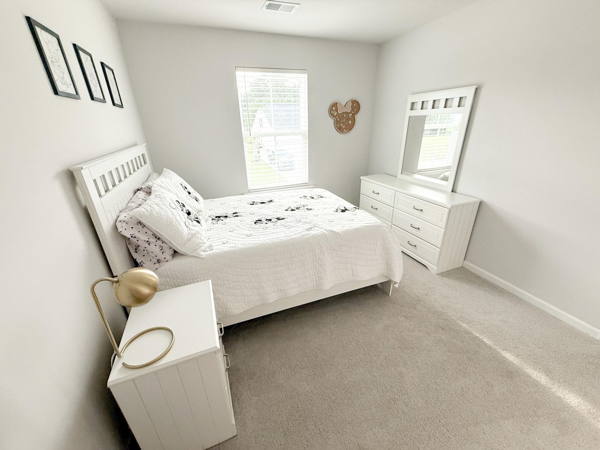 6976 Pumpkinseed Drive Photo 36
