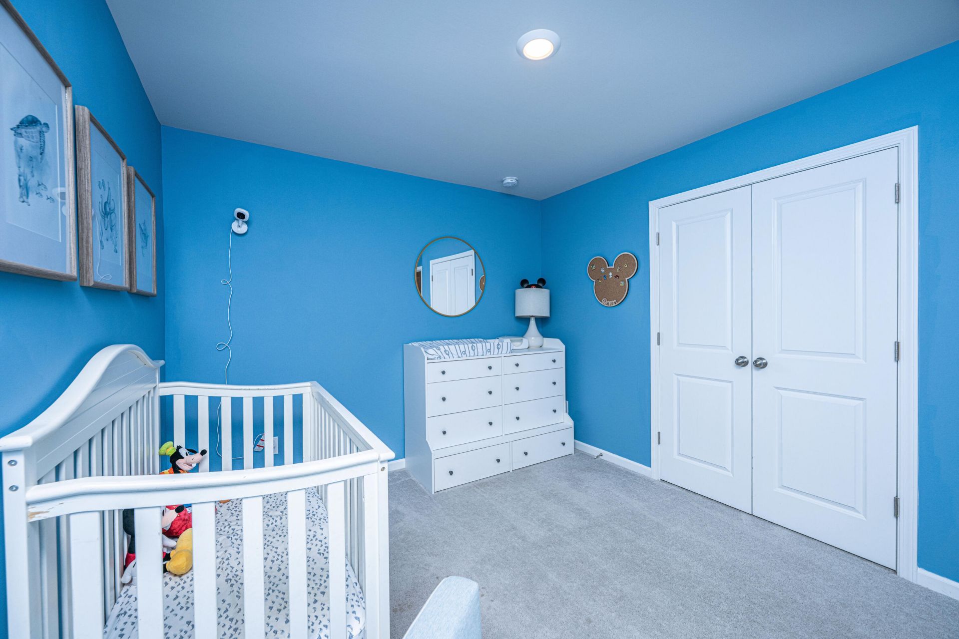 6976 Pumpkinseed Drive Photo 43