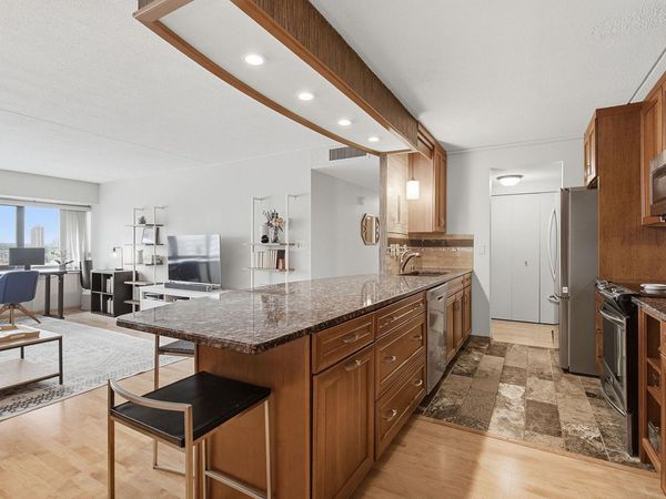 1920 S 1st Street, Unit 802, Minneapolis, MN 55454