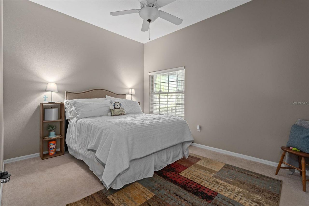 2313 Edelweiss Loop, New Port Richey, FL 34655 Photo