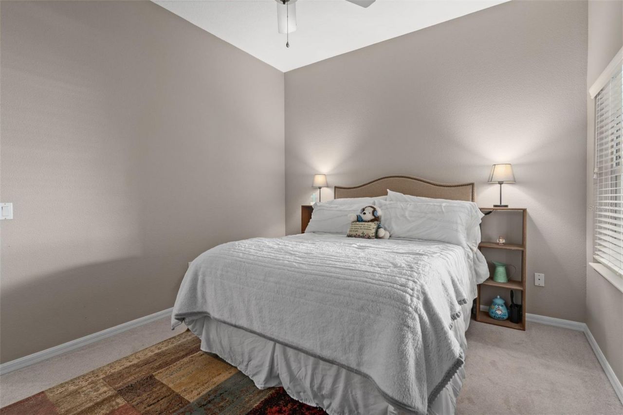 2313 Edelweiss Loop, New Port Richey, FL 34655 Photo