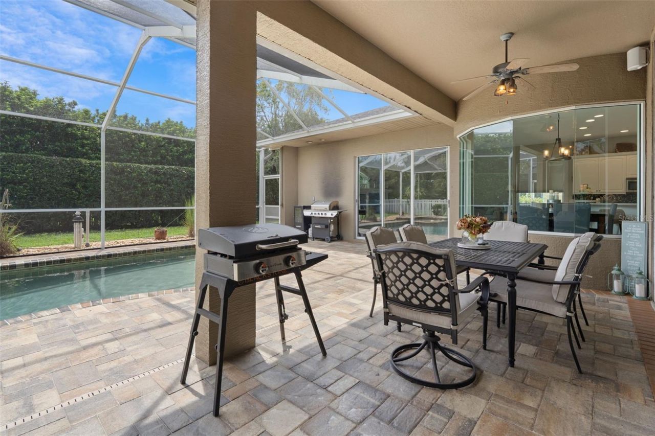 2313 Edelweiss Loop, New Port Richey, FL 34655 Photo
