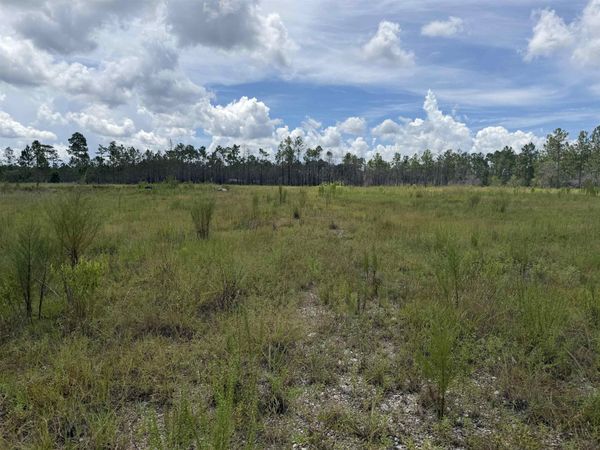 120&136&2.5Acre Longleaf Drive, Sumatra, FL 32321