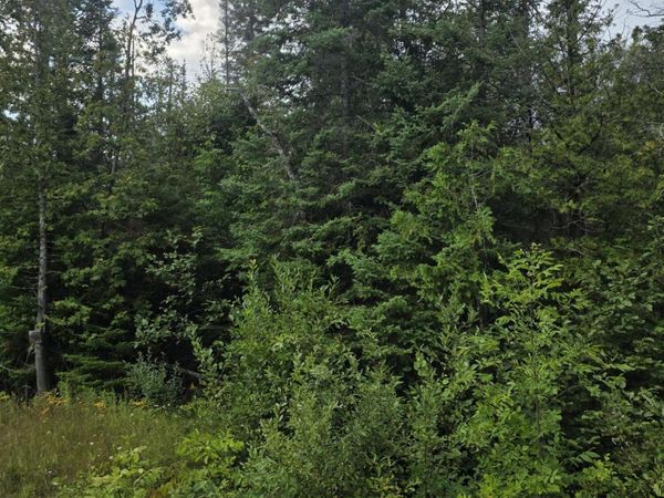 V/L Klee Road, Rogers City, MI 49779