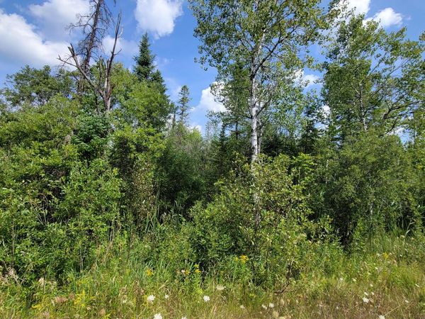 15225 Lakeview Drive, Wolverine, MI 49799
