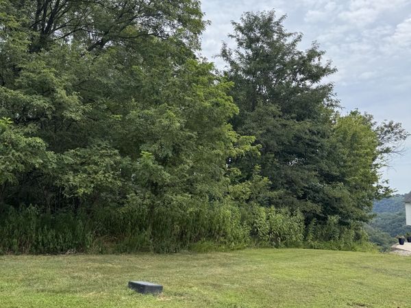 0 Shayna Ct , Unit 9, Smithville, TN 37166