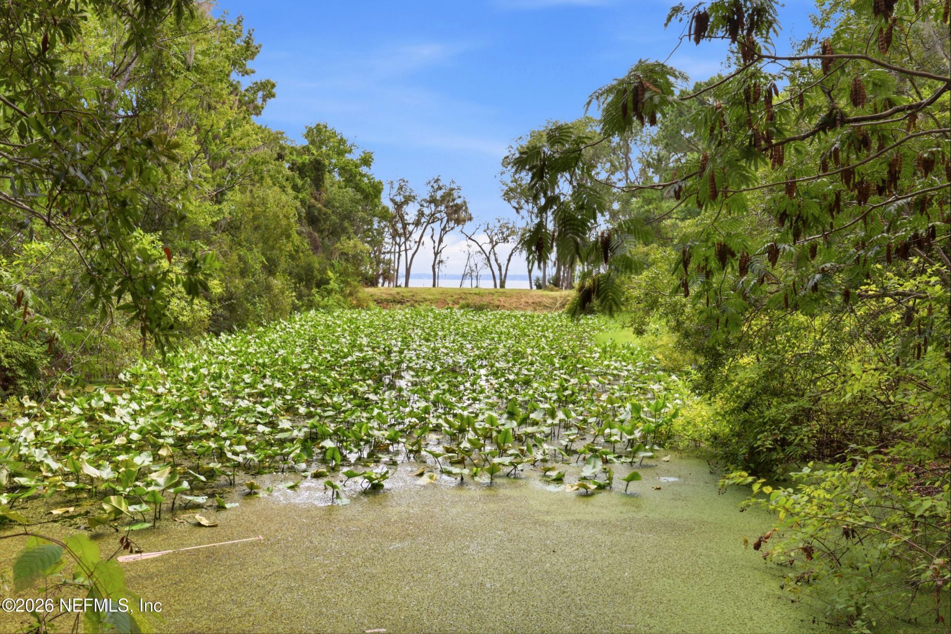 4661 Raggedy Point Road, Fleming Island, FL 32003 Photo