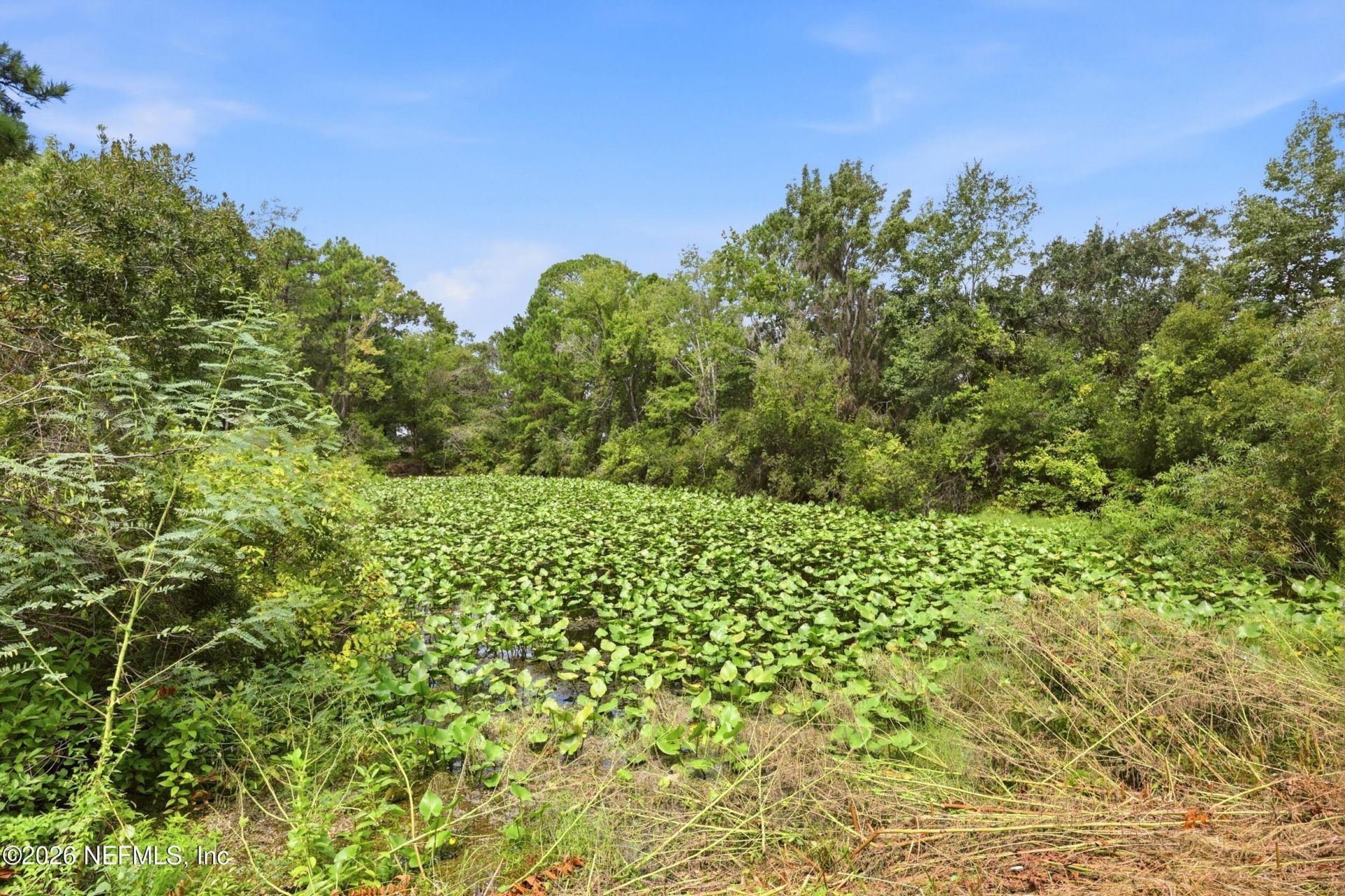 4661 Raggedy Point Road, Fleming Island, FL 32003 Photo