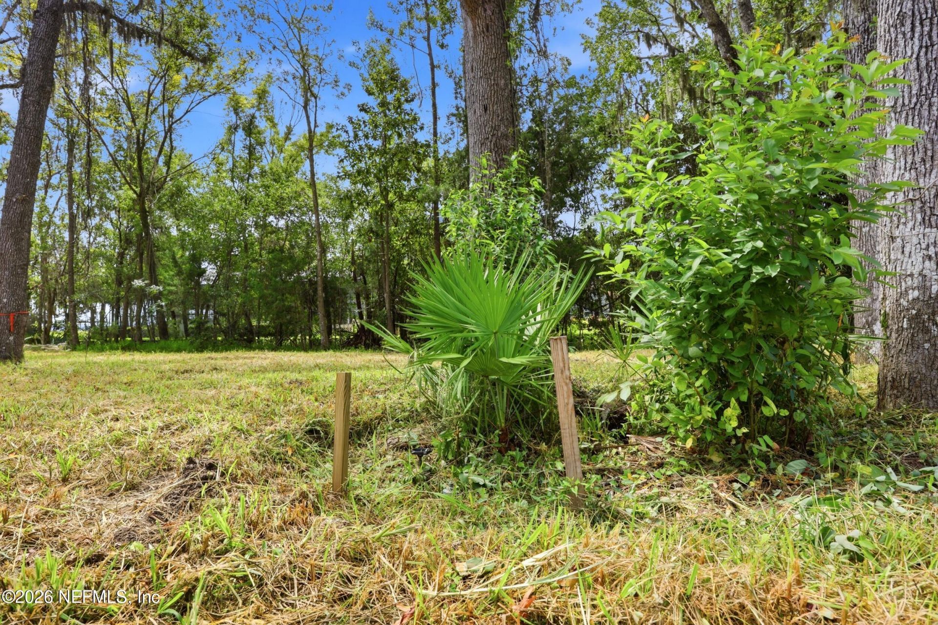 4661 Raggedy Point Road, Fleming Island, FL 32003 Photo