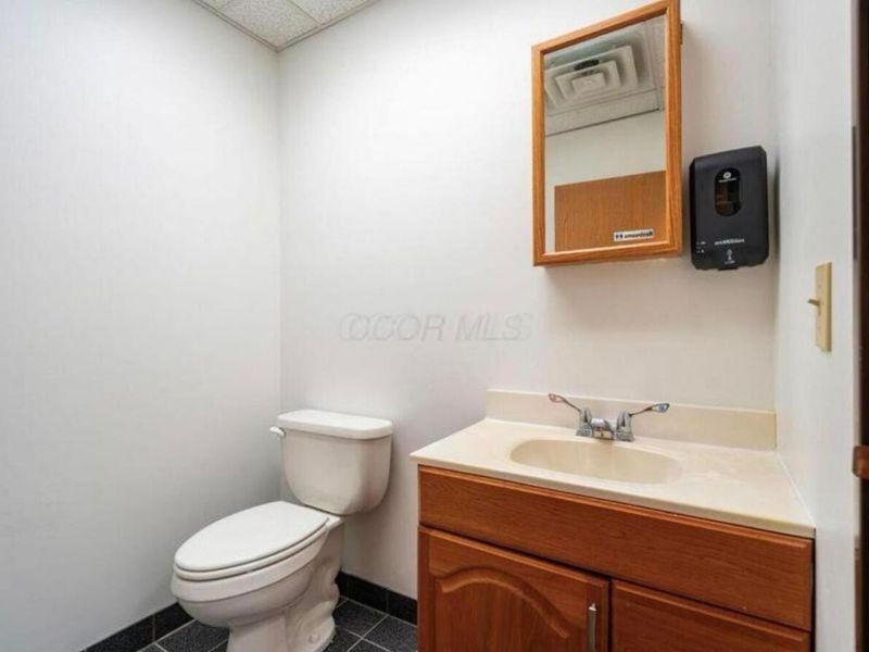 171 Green Meadows Drive S, Lewis Center, OH 43035 Photo 3
