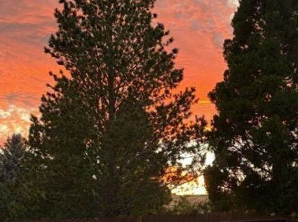 2517 Rampart Terrace, Reno, NV 89519 Photo