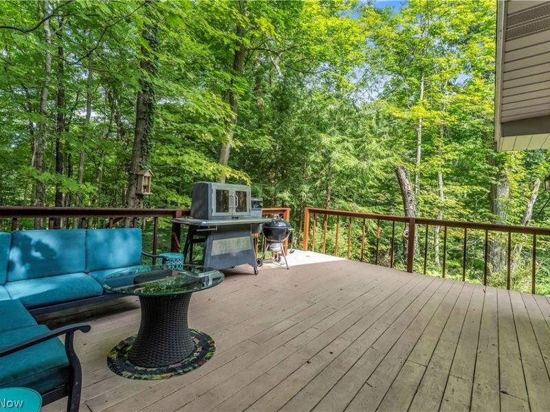 5239 Sleepy Hollow Road, Valley City, OH 44280 Photo 31