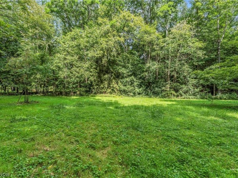 5239 Sleepy Hollow Road, Valley City, OH 44280 Photo 39