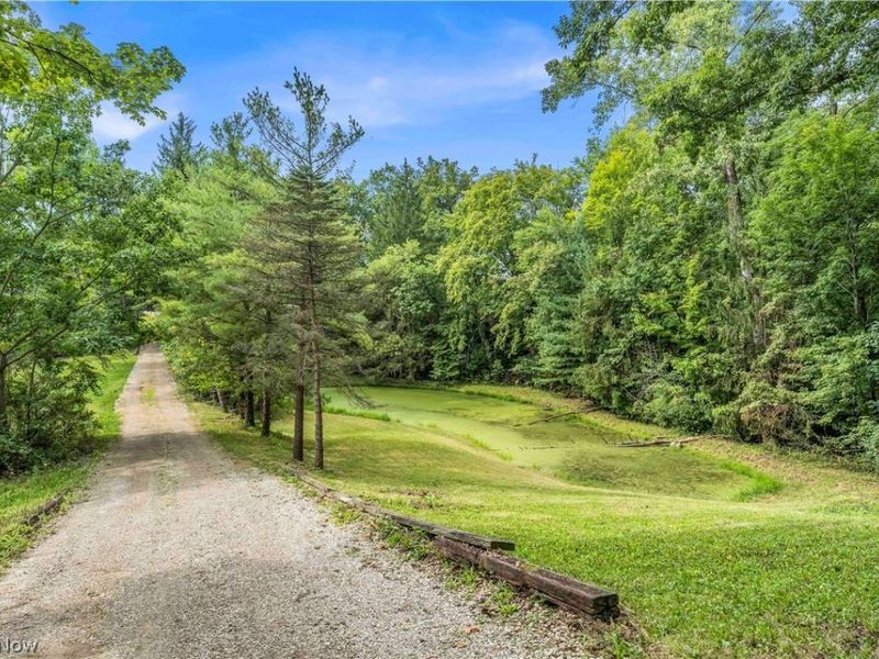 5239 Sleepy Hollow Road, Valley City, OH 44280 Photo 41