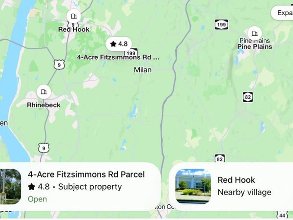 Fitzsimmons Road , Red Hook, NY 12571