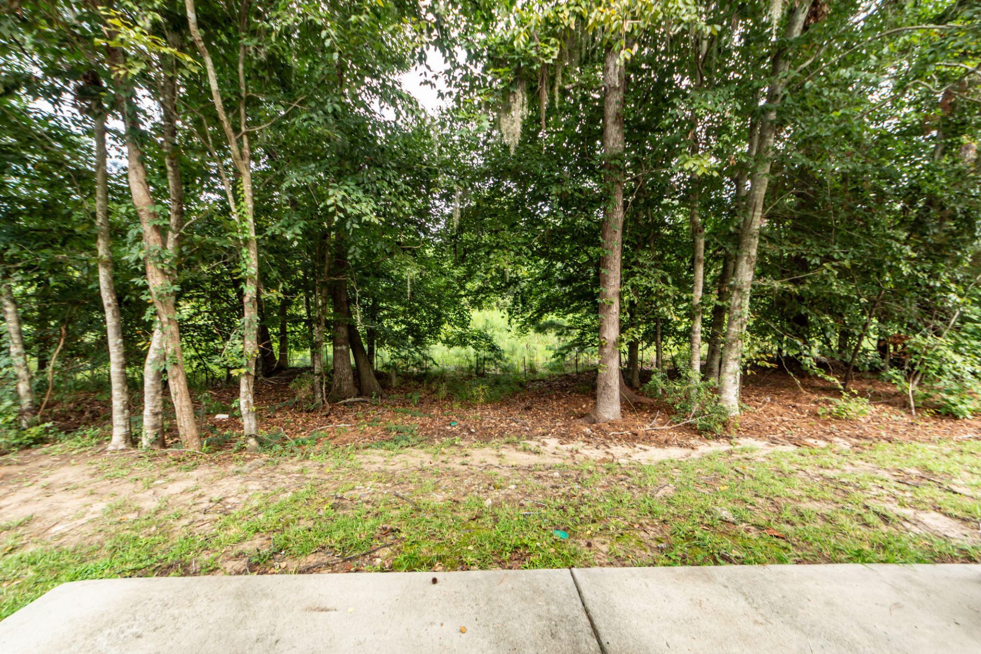 235 Larissa Drive Photo 23
