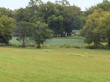 1873 Scotts Ferry Road, Versailles, KY 40383