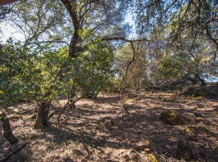 4351 Rossler Rd, Placerville, CA 95667 Photo