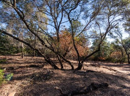 4351 Rossler Rd, Placerville, CA 95667 Photo