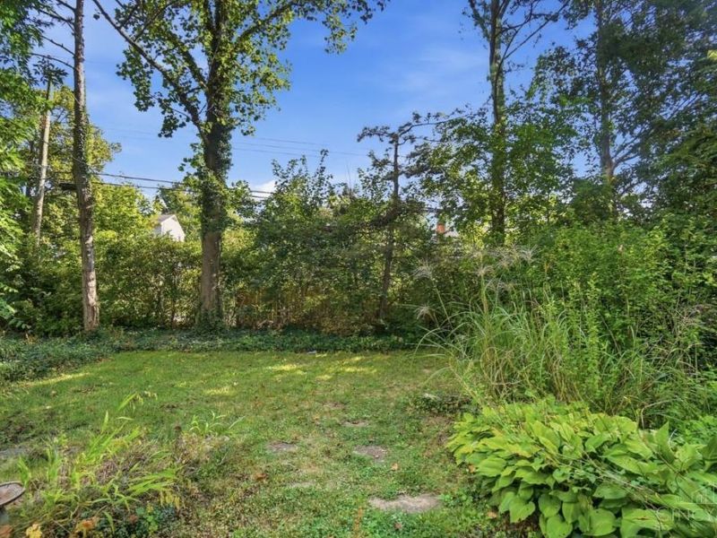 185 Ireland Avenue, Greenhills, OH 45218 Photo 37