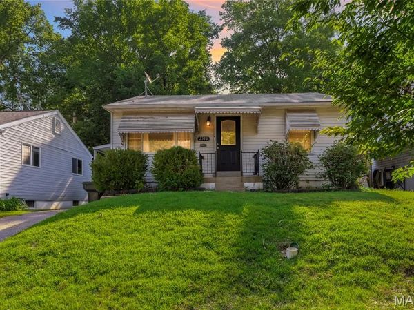 2520 Tamm Avenue, St Louis, MO 63139
