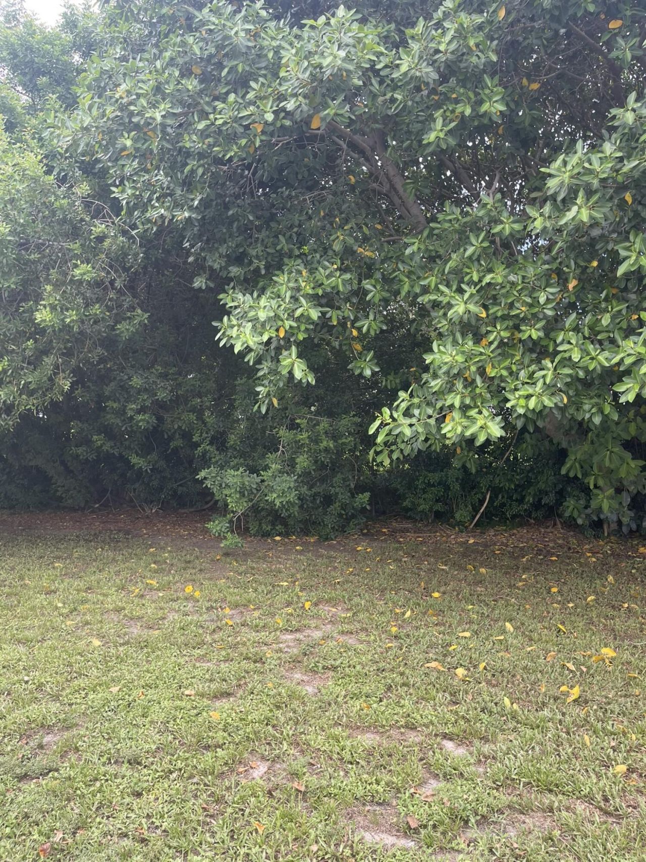 920 NW 3rd Street, Boynton Beach, FL 33435 Photo