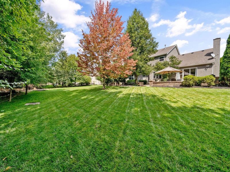 2335 Bryton Drive, Powell, OH 43065 Photo 39