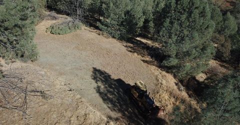 12333 Angel Wing Ln, Smartville, CA 95977 Photo