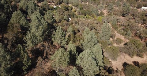 12333 Angel Wing Ln, Smartville, CA 95977 Photo