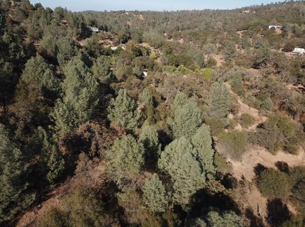 12333 Angel Wing Ln, Smartville, CA 95977 Photo