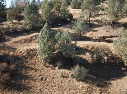 12333 Angel Wing Ln, Smartville, CA 95977 Photo