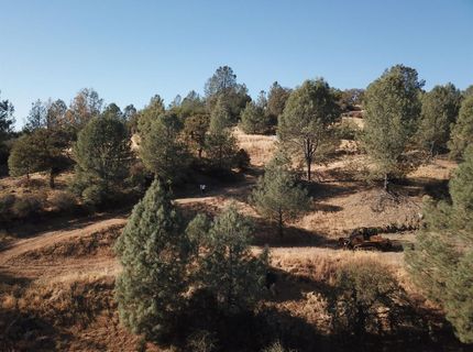 12333 Angel Wing Ln, Smartville, CA 95977 Photo