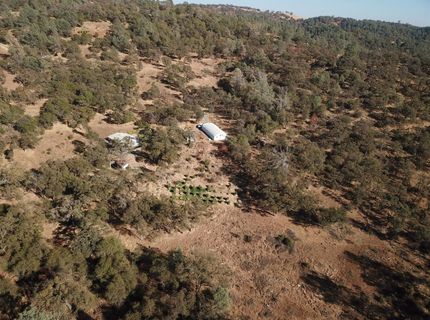 12333 Angel Wing Ln, Smartville, CA 95977 Photo