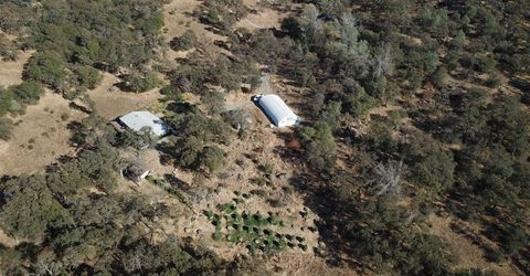 12333 Angel Wing Ln, Smartville, CA 95977 Photo