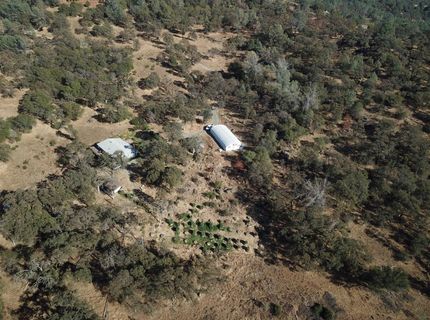 12333 Angel Wing Ln, Smartville, CA 95977 Photo