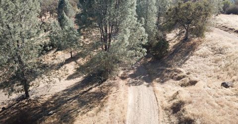 12333 Angel Wing Ln, Smartville, CA 95977 Photo