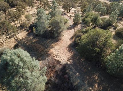 12333 Angel Wing Ln, Smartville, CA 95977 Photo