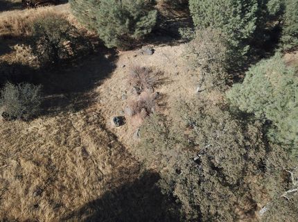 12333 Angel Wing Ln, Smartville, CA 95977 Photo