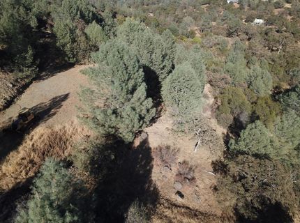 12333 Angel Wing Ln, Smartville, CA 95977 Photo
